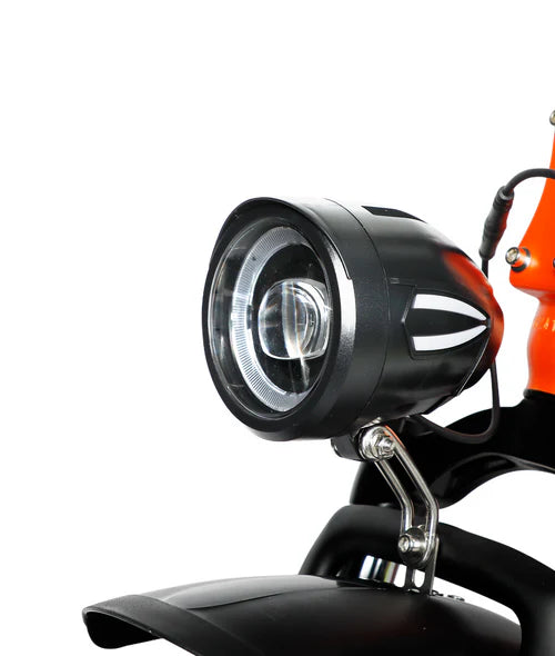 VICTRIP® R5 Foldable Electric Bike