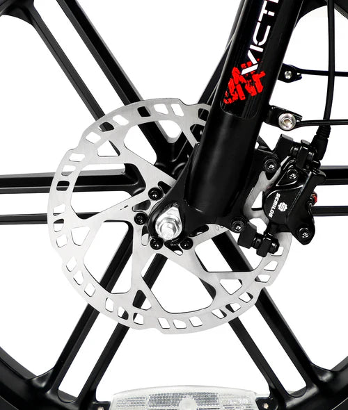 VICTRIP® T5S Foldable Ebike